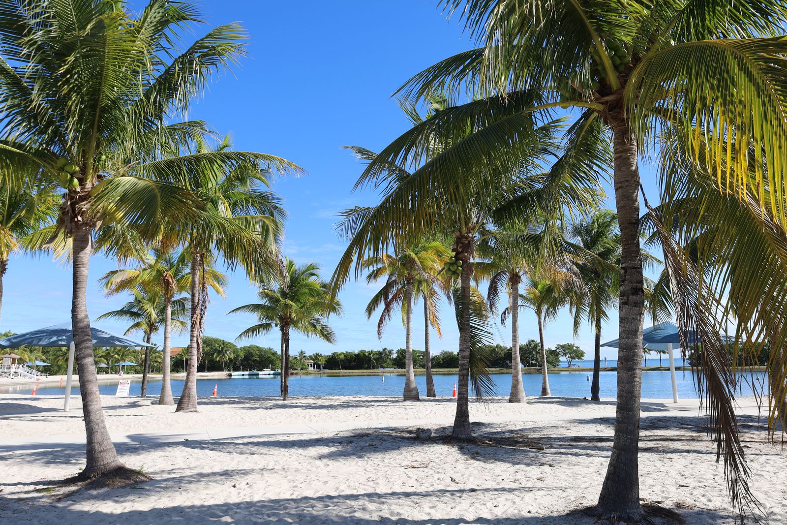 A view near Seminole, Florida